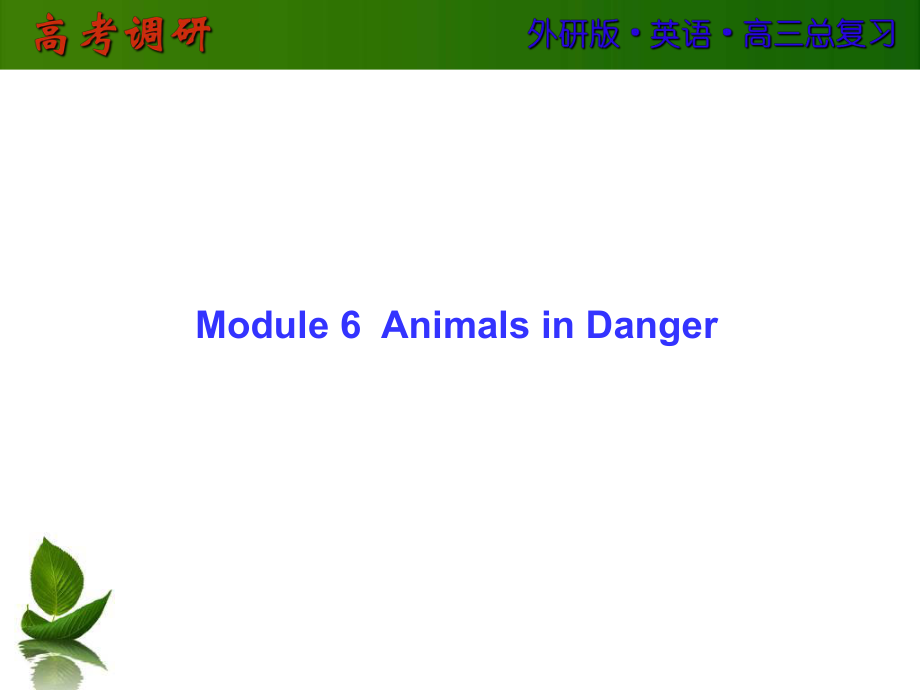 高三英語外研版總復(fù)習(xí)課件—必修五Module 6 Animals in Danger 96張_第1頁