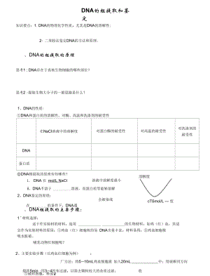 5.1《DNA的粗提取與鑒定》活動單李百勝