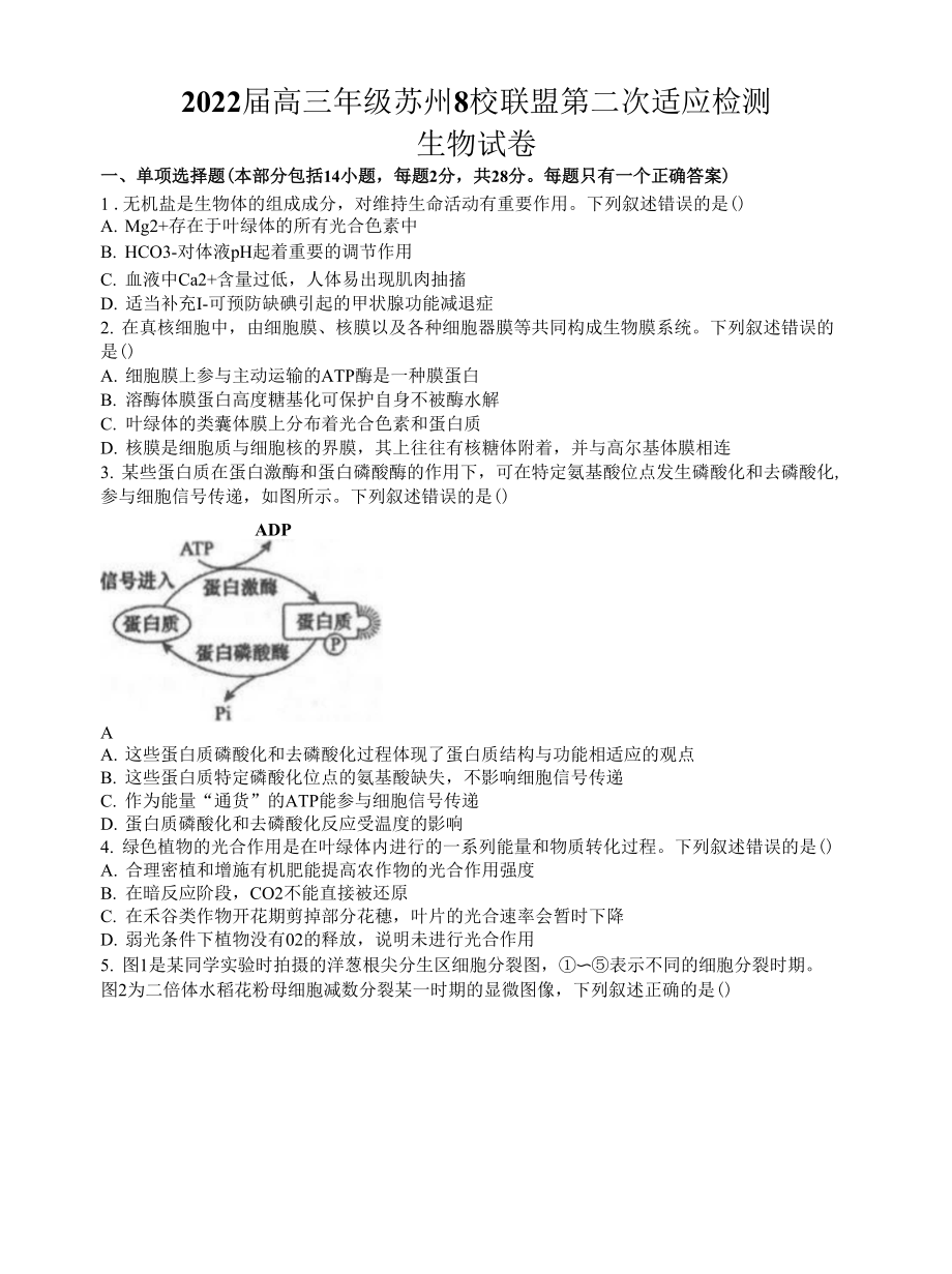 江苏省苏州八校联盟2021-2022学年高三上学期第二次适应性检测生物试卷（Word版含答案）_第1页