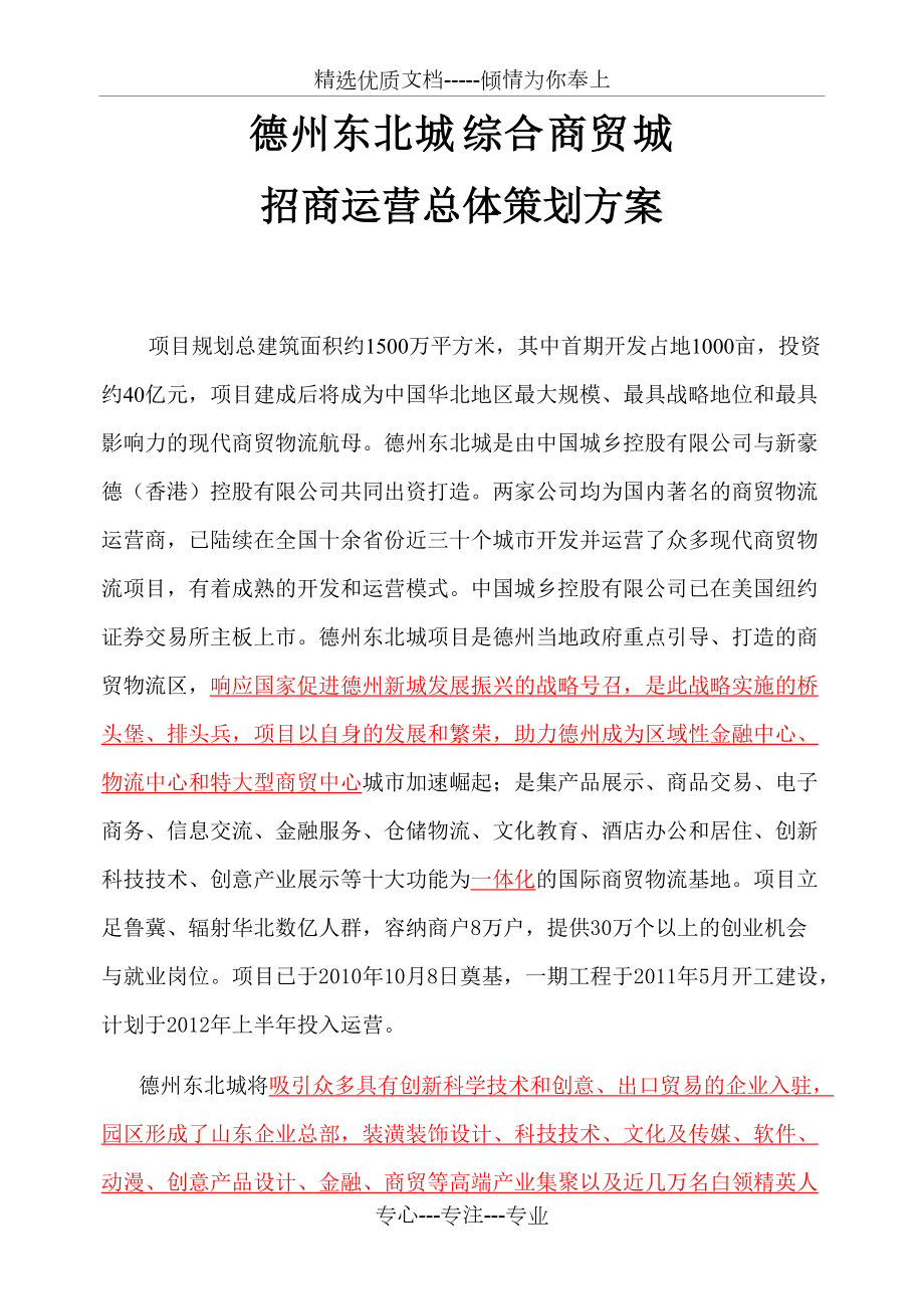 德州东北商贸城招商运营总体策划(草)案(共25页)_第1页