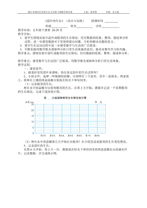 《蒜葉的生長》（綜合與實踐）教案