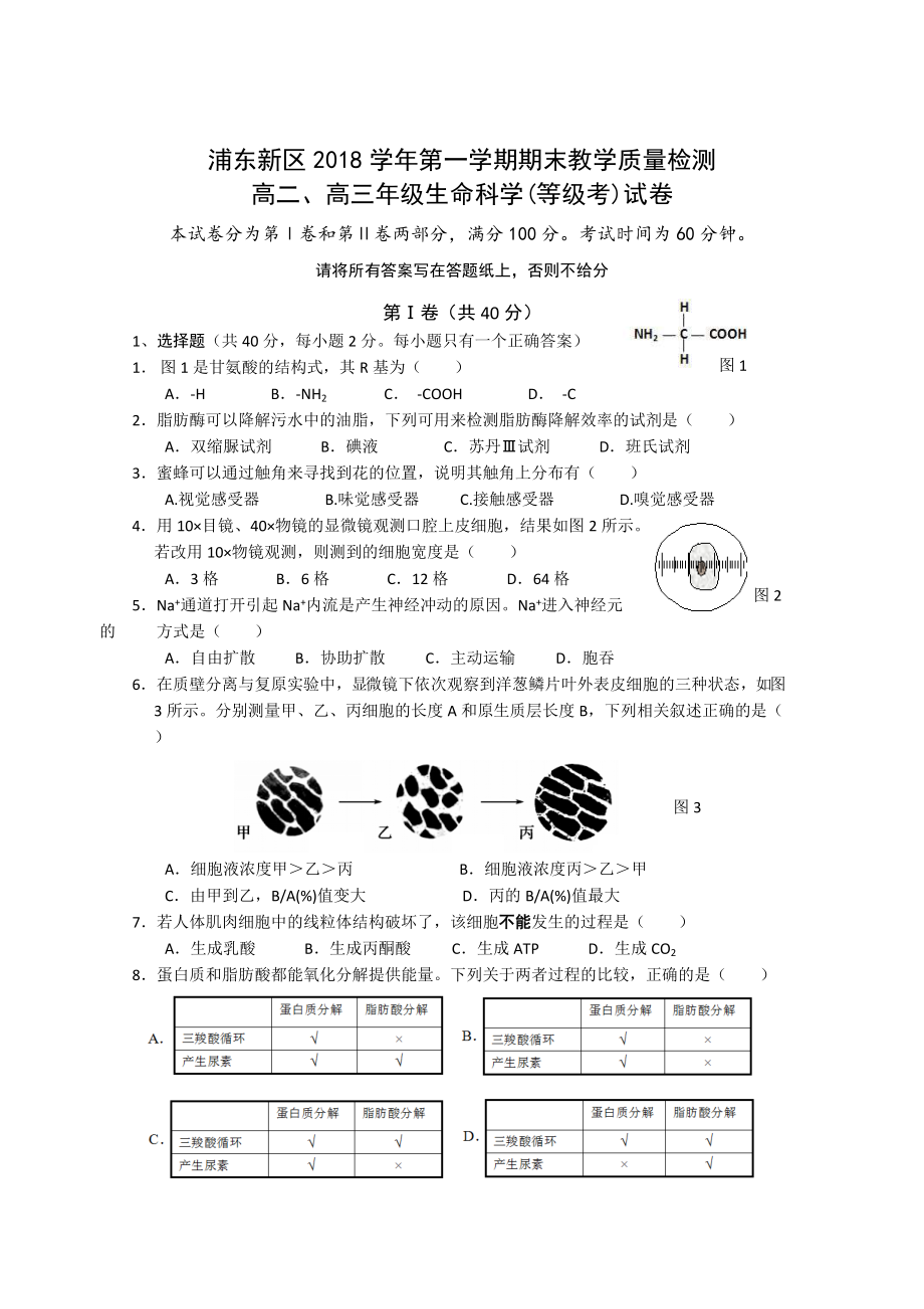 2019浦东生物一模(有答案)_第1页