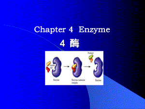 Chapter4Enzyme第四章酶[共58頁]