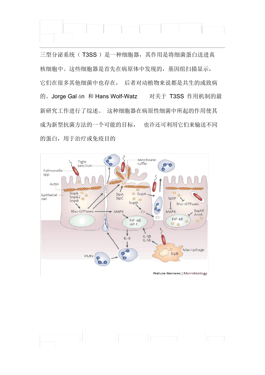 T3SS-三型分泌系统_第1页