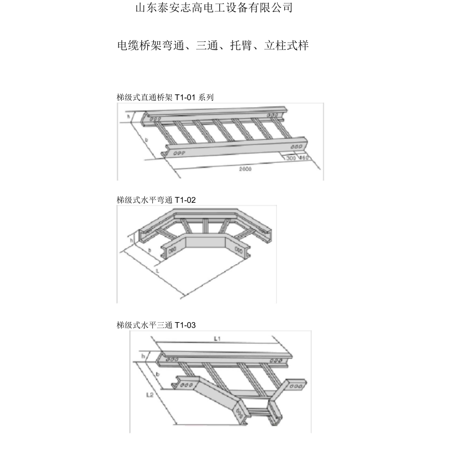 山東泰安志高電工設(shè)備有限公司電纜橋架彎通、三通、托臂、立柱式樣_第1頁