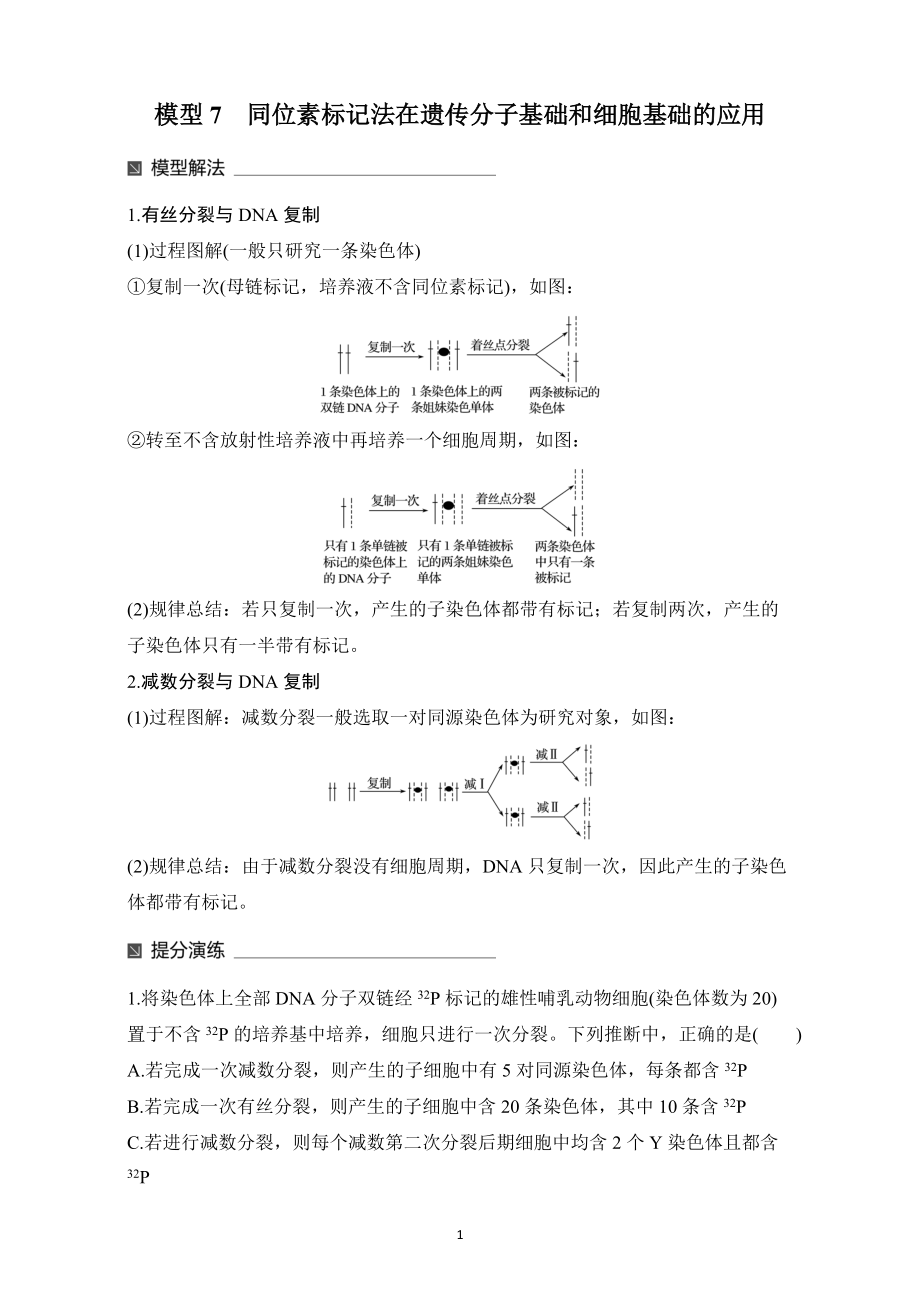 2017步步高大二輪專(zhuān)題復(fù)習(xí)策略生物熱點(diǎn)題型建模模型7同位素標(biāo)記法在遺傳分子基礎(chǔ)和細(xì)胞基礎(chǔ)的應(yīng)用含解析_第1頁(yè)