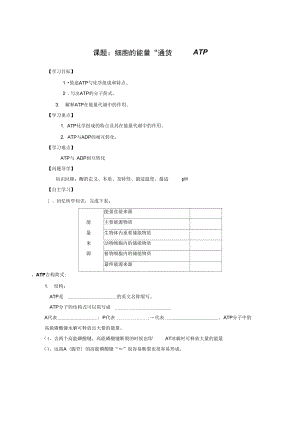 《細(xì)胞的能量“通貨”——ATP》導(dǎo)學(xué)案2