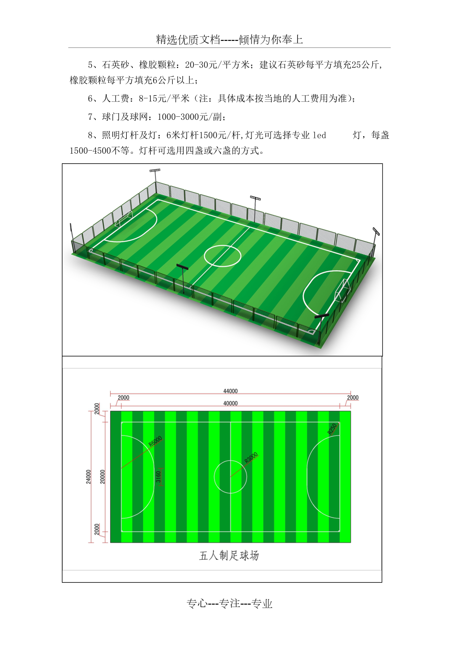 5人制足球场造价图片