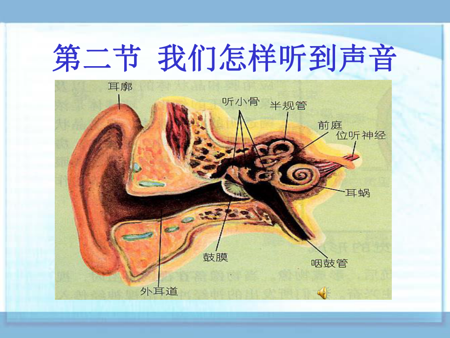 《我們?cè)鯓勇?tīng)到聲音》課件2(21張PPT)(人教版八年級(jí)上)_第1頁(yè)