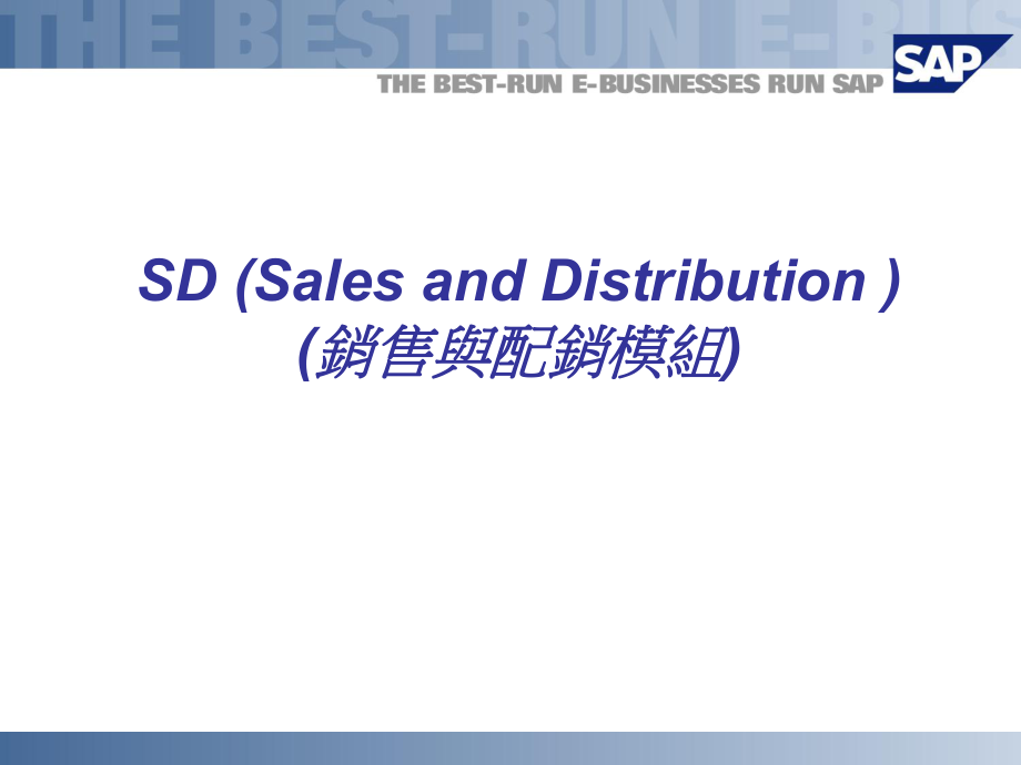 销售与配销模块（PPT 64页）_第1页