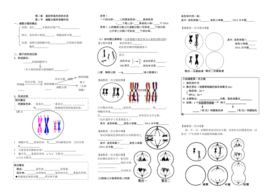 减数分裂和受精作用学案1_第1页