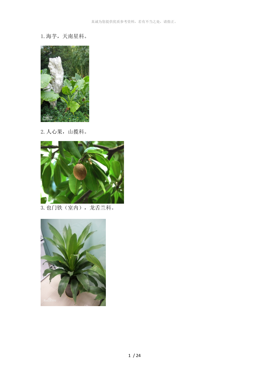 常见园林植物图片与名称(80种)_第1页