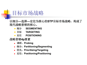 目標(biāo)市場(chǎng)戰(zhàn)略[共45頁(yè)]