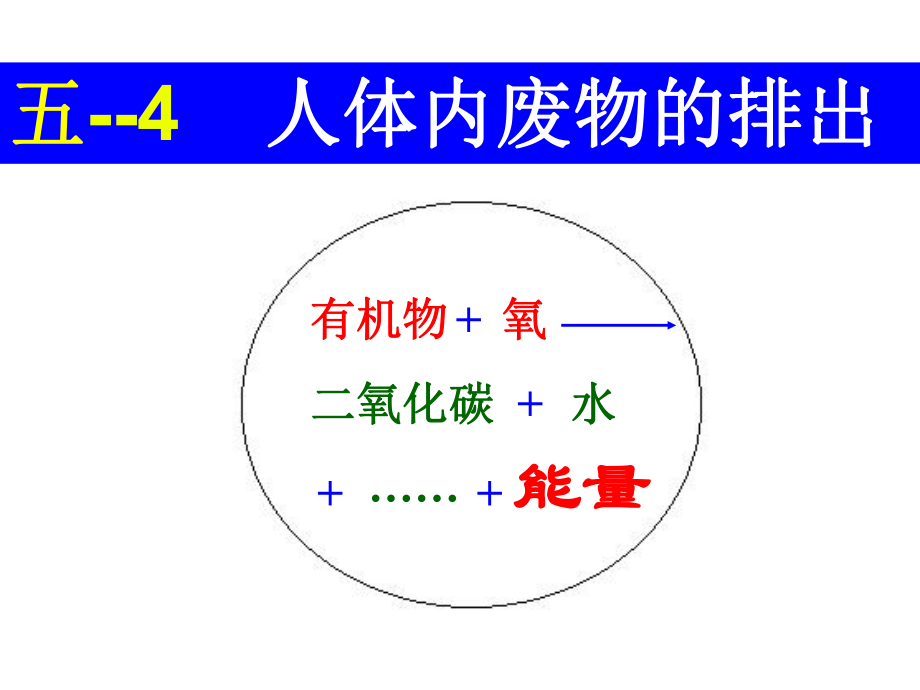 专题五—4人体内废物的排出_第1页