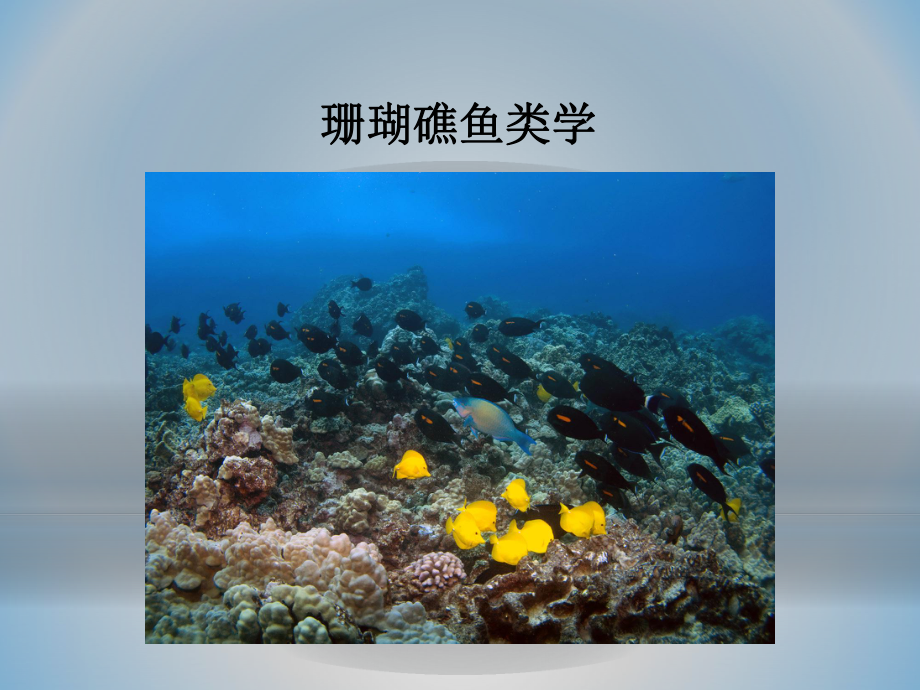 海洋生物学：珊瑚礁鱼类学_第1页