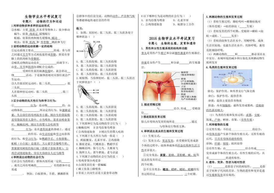 6 專題六 動(dòng)物的行為和運(yùn)動(dòng)專題七生物的生殖和遺傳_第1頁