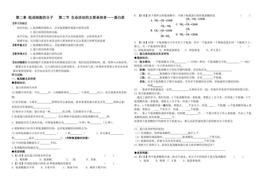 7.第二章 第二節(jié) 蛋白質(zhì)（導(dǎo)學(xué)案）生命活動的主要承擔(dān)者_(dá)第1頁