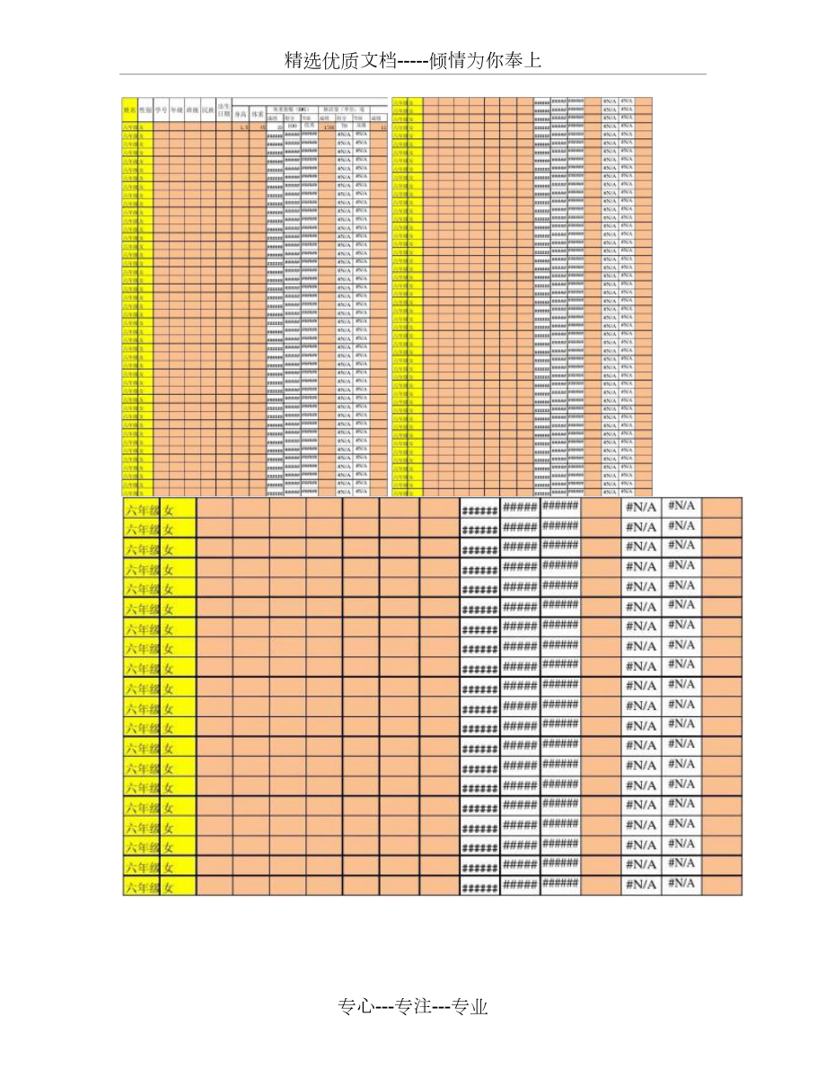 体质健康成绩测试全自动化计算模板--更新-图文(共4页)_第1页