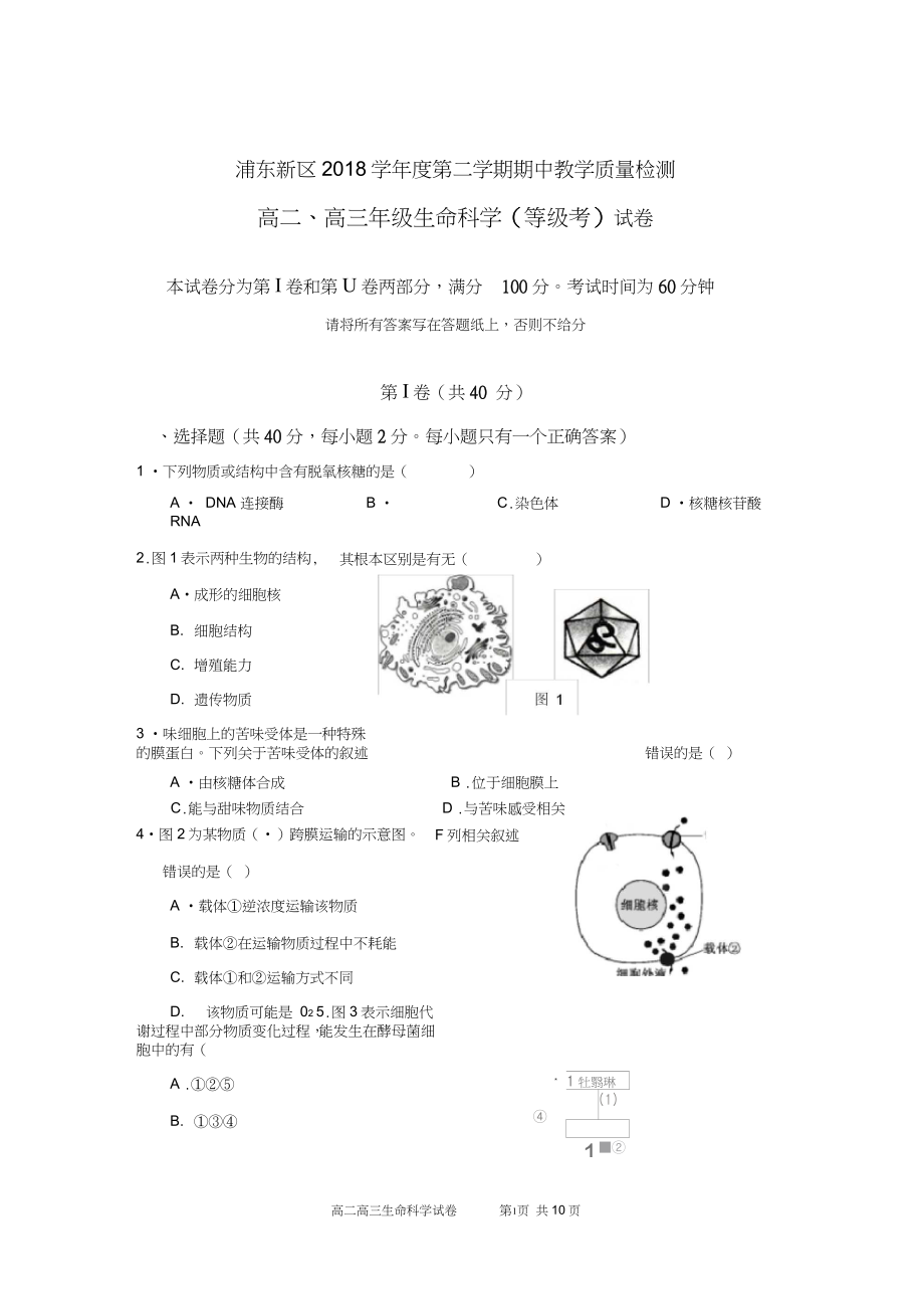 2019生物二模浦东有答案_第1页