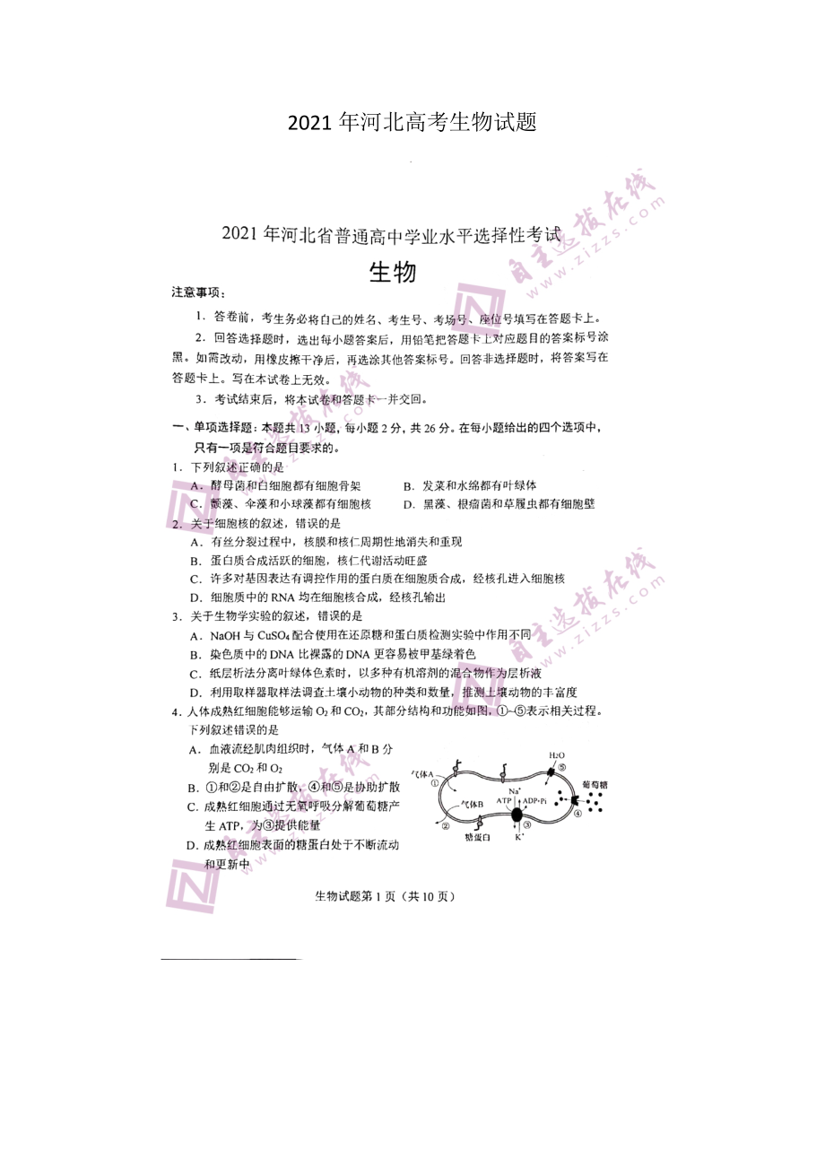 2021年河北高考生物試題版_第1頁