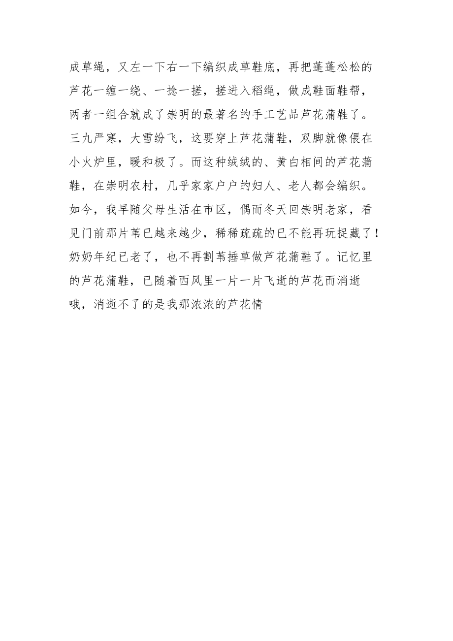 蘆花情作文600字