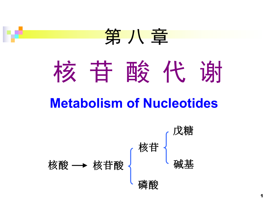 chapter 8 核苷酸代谢_第1页