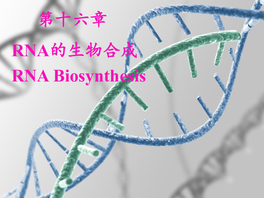 生物化學(xué)和分子生物學(xué)：第十六章 RNA的生物合成_第1頁