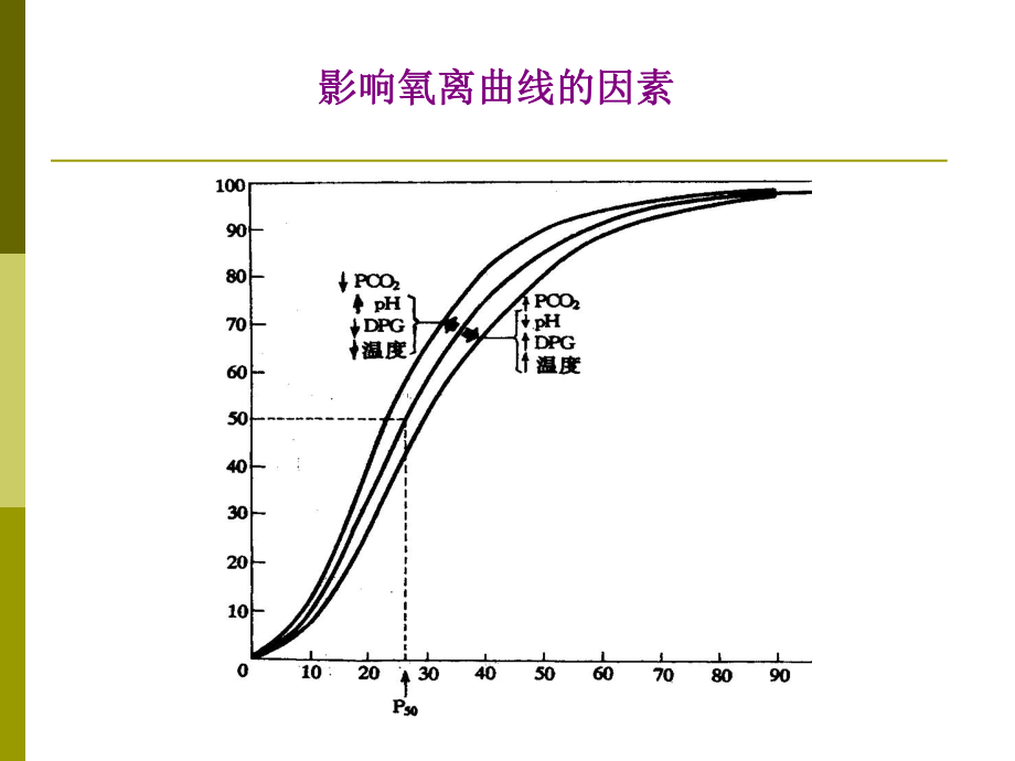 生理第五章呼吸 第三四章呼吸運(yùn)動(dòng)的調(diào)節(jié)_第1頁(yè)