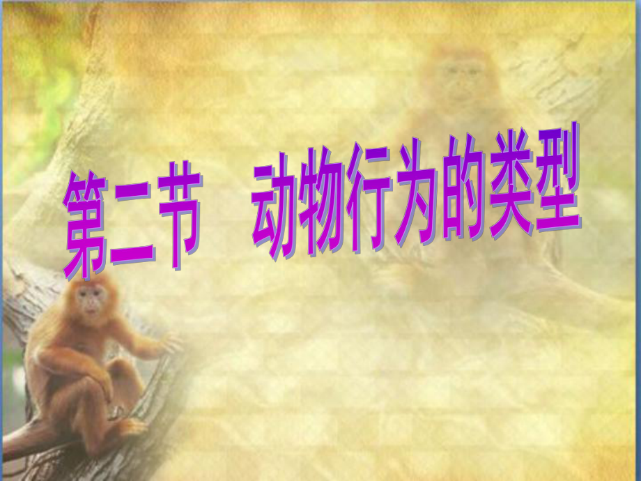 《动物行为的类型》(共21张PPT)_第1页