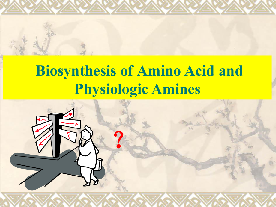 生物化学教学课件：重要基酸及其衍生物的合成_第1页