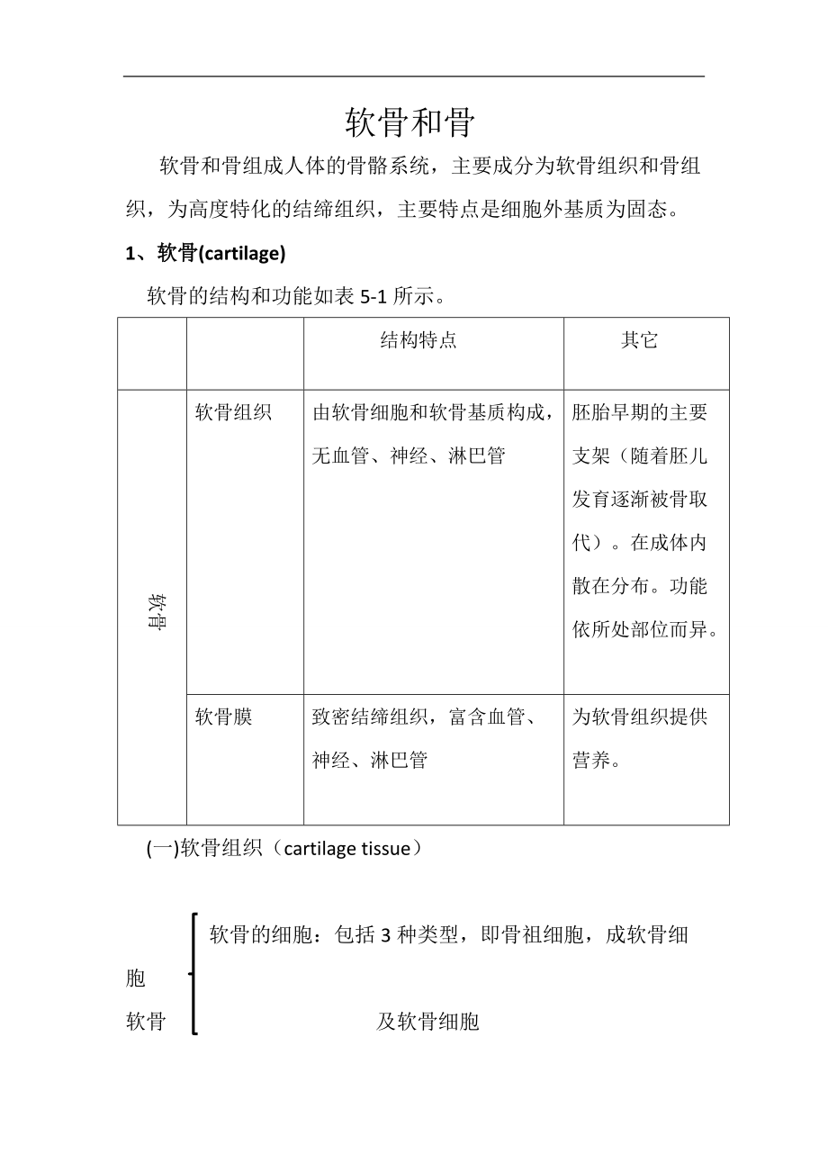 組織學與胚胎學復習資料：第5章 軟骨和骨_第1頁