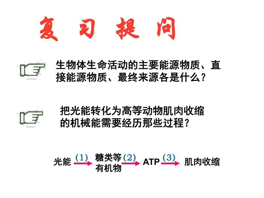 生物：53《ATP的主要來源-細(xì)胞呼吸》課件新人教版必修1_第1頁