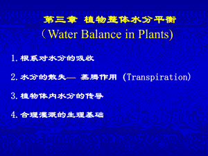 植物生理学：04植物整体水分平衡