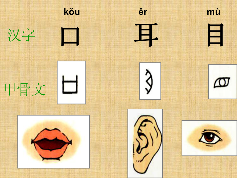 象形字口耳目教學課件