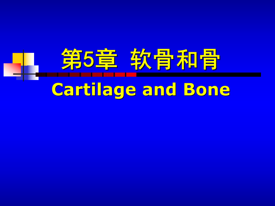 組織學(xué)與胚胎學(xué)：第5章 軟骨和骨_第1頁