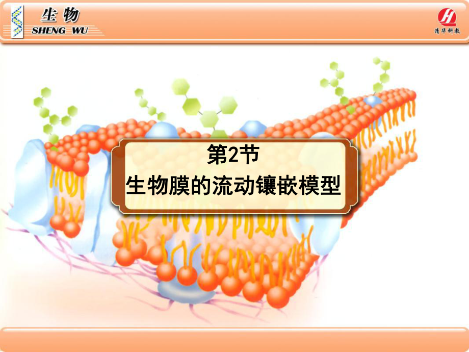 高中生物必修一42生物膜的流动镶嵌模型_第1页