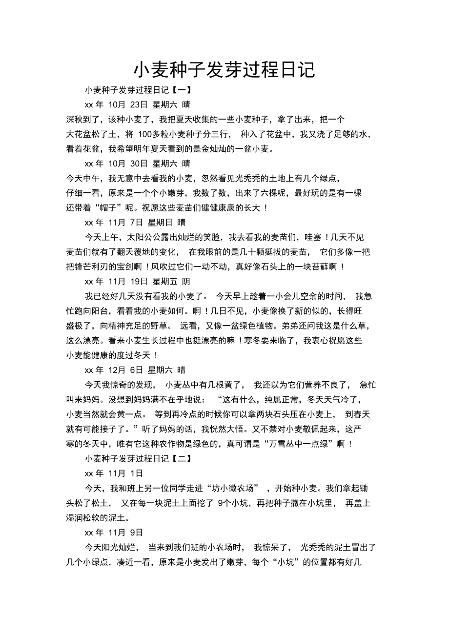 小麦种子发芽过程日记