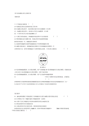 2014浙江高考生物一輪復(fù)習(xí)專講專練第13講減數(shù)分裂與受精作用(精)