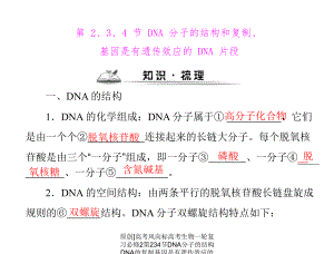 原创]高考风向标高考生物一轮复习必修2第234节DNA分子的结构DNA的复制基因是有遗传效应的DNA片段[配套课件