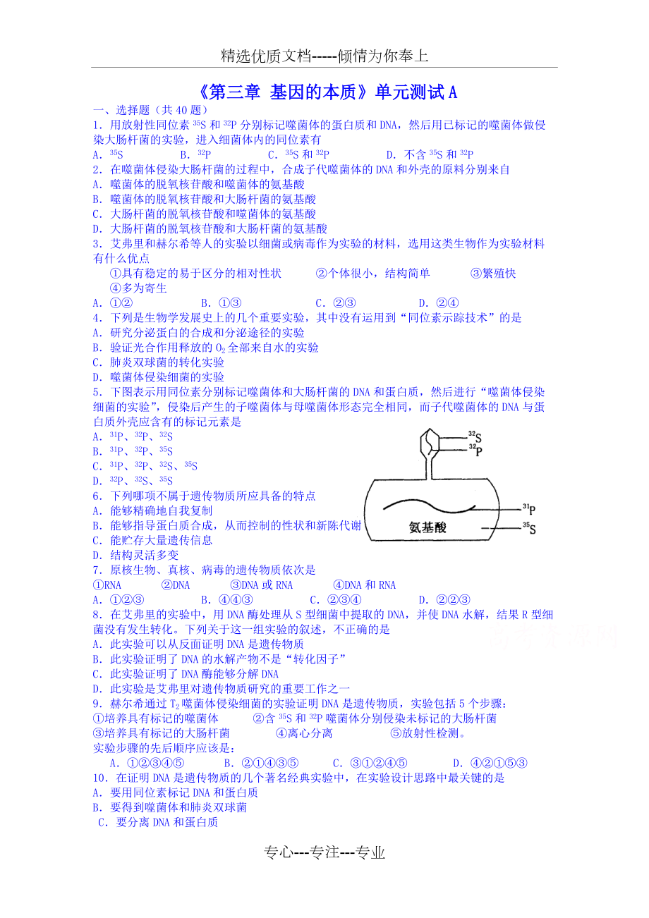 人教版生物必修二《第3章：基因的本質(zhì)》單元測(cè)試(卷-含答案)(共5頁)_第1頁