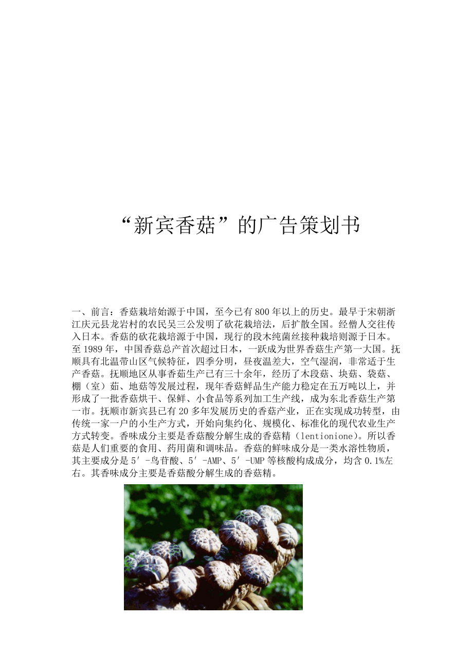 新宾香菇网络广告策划书_第1页
