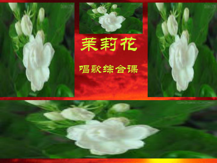 新课程初中音乐课件-百卉含英-茉莉花课件_第1页