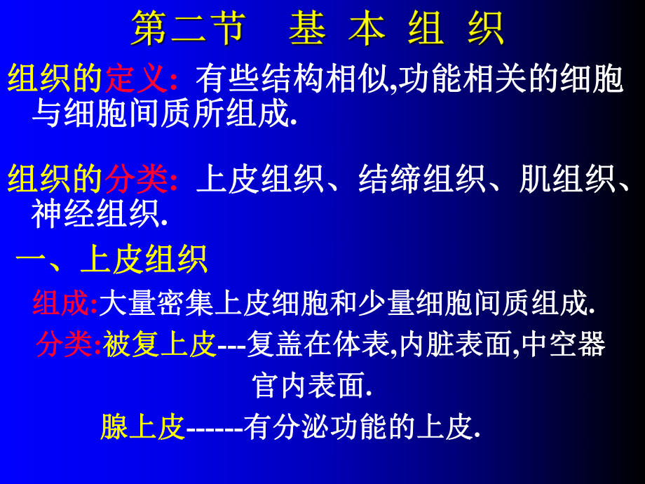 人體各主要部分解剖 基本組織_第1頁