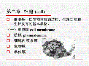 组织与胚胎学：细胞 (cell)