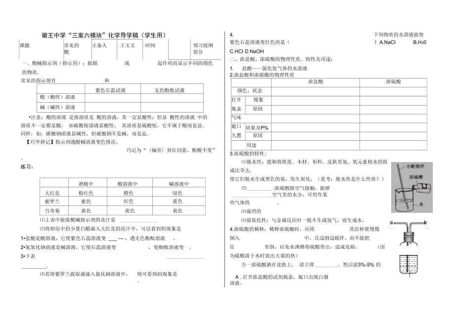 常見的酸導(dǎo)學(xué)案_第1頁(yè)