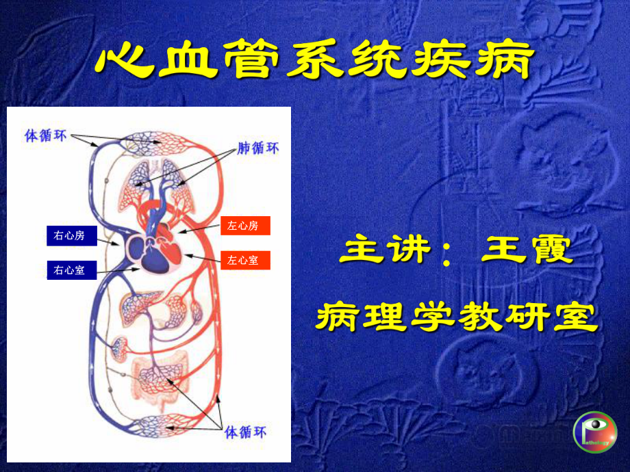 病理學(xué)課件：第六章 心血管系統(tǒng)疾病_第1頁(yè)