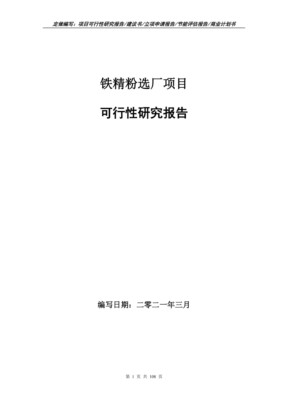 铁精粉选厂项目可行性研究报告写作范本_第1页