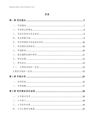 黑龙江安防项目投资计划书（范文模板）
