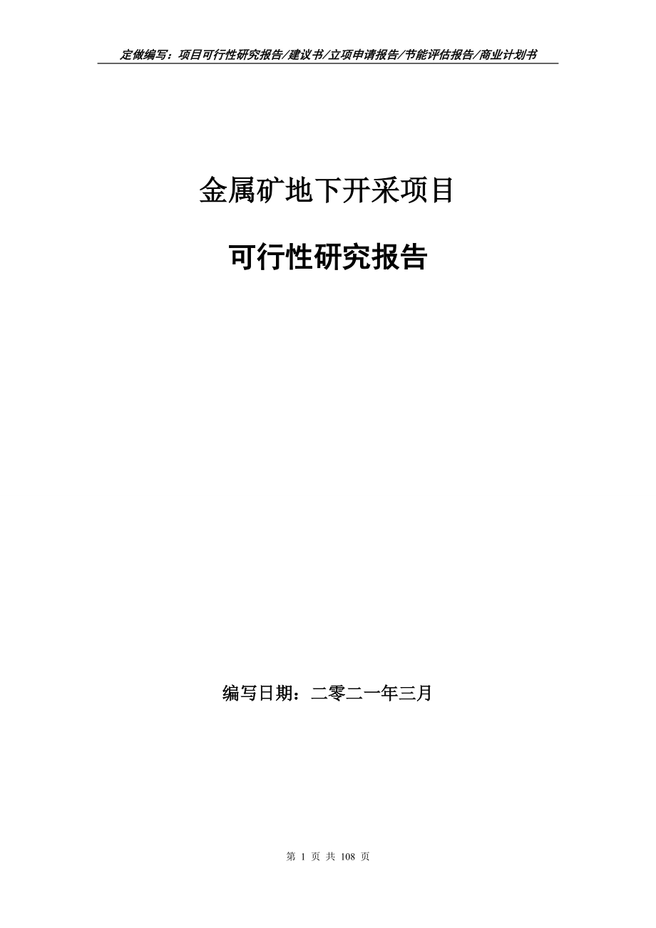金属矿地下开采项目可行性研究报告写作范本_第1页