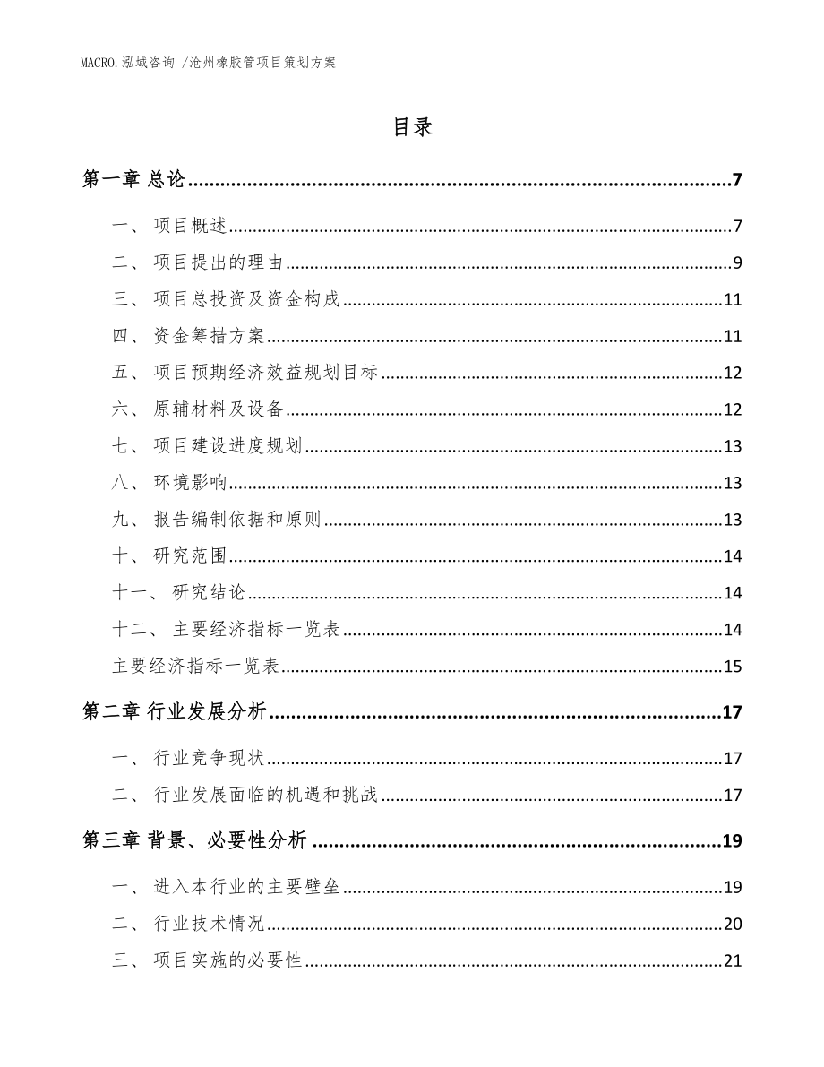 沧州橡胶管项目策划方案参考范文_第1页
